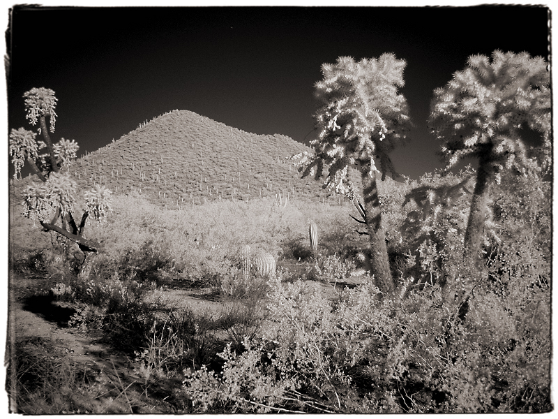 Tucson Landscape Infrared in Tucson, AZ � Dave Hickey